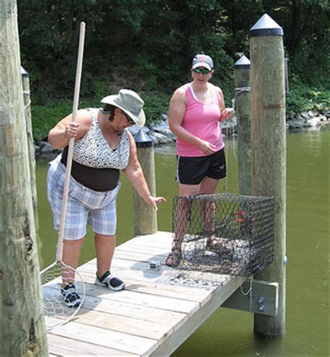 fishing license maryland|maryland crabbing license for sale.
